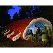 inflatable party tent